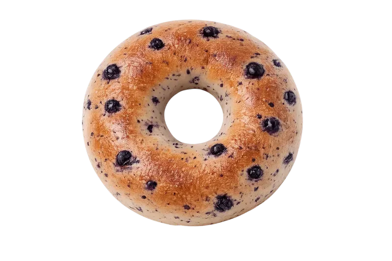 Blueberry Bagel