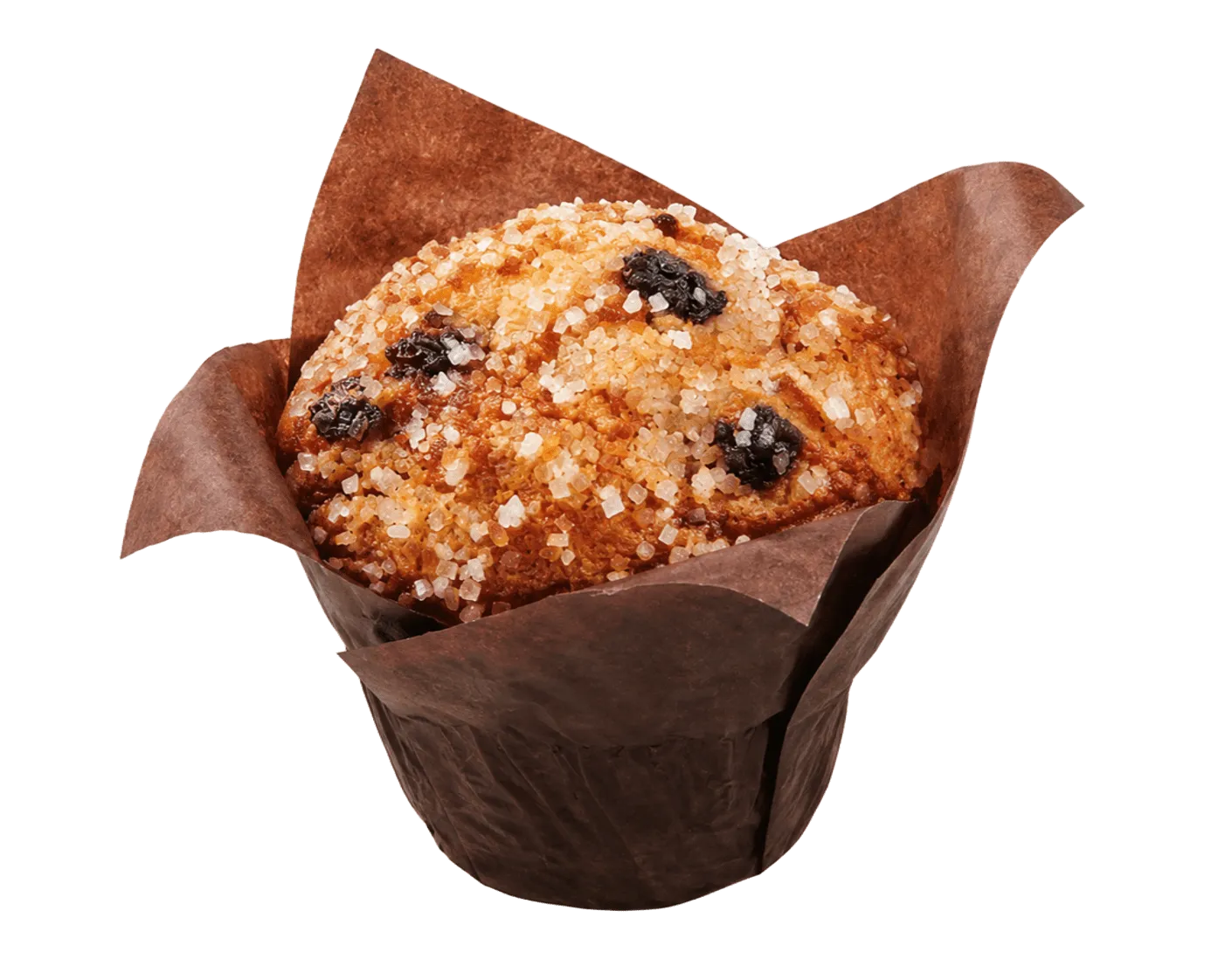 Blueberry Muffin