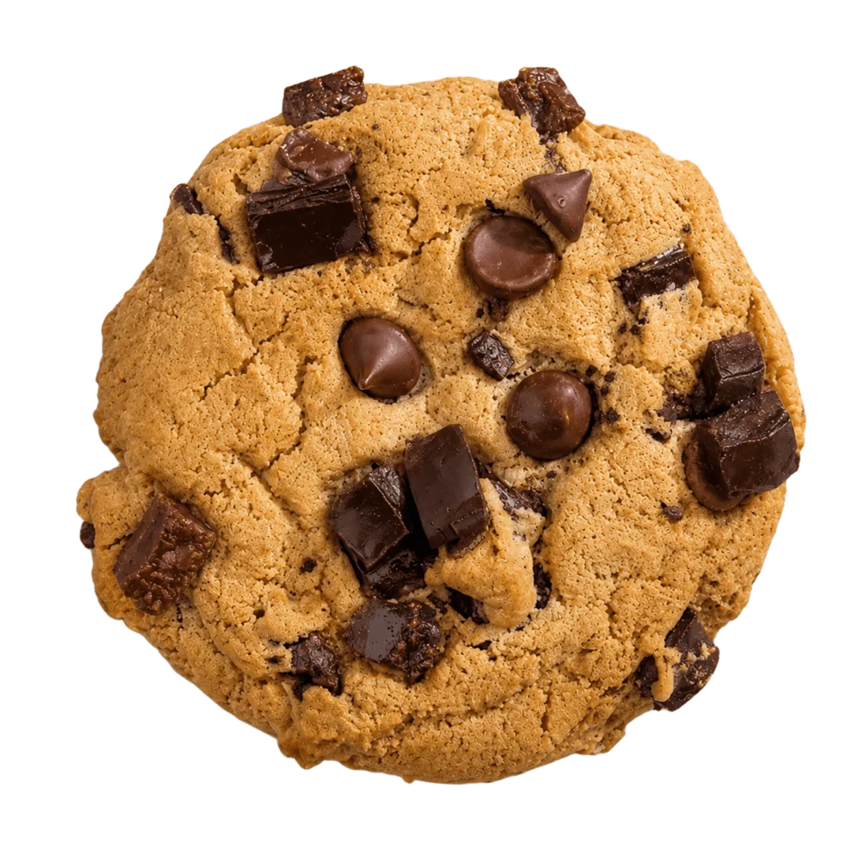 Double Chocolate Cookie